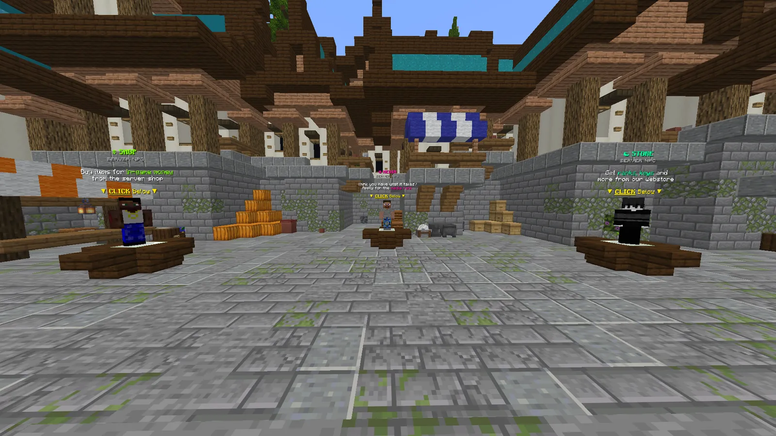 Shop and store NPCs