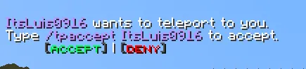Accept Deny chat